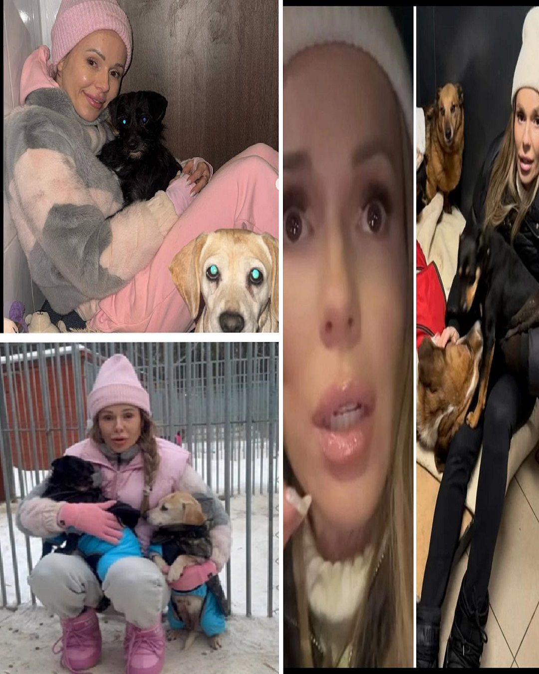 Doda schronisko Bytom: artystka żąda śledztwa ws. faktur