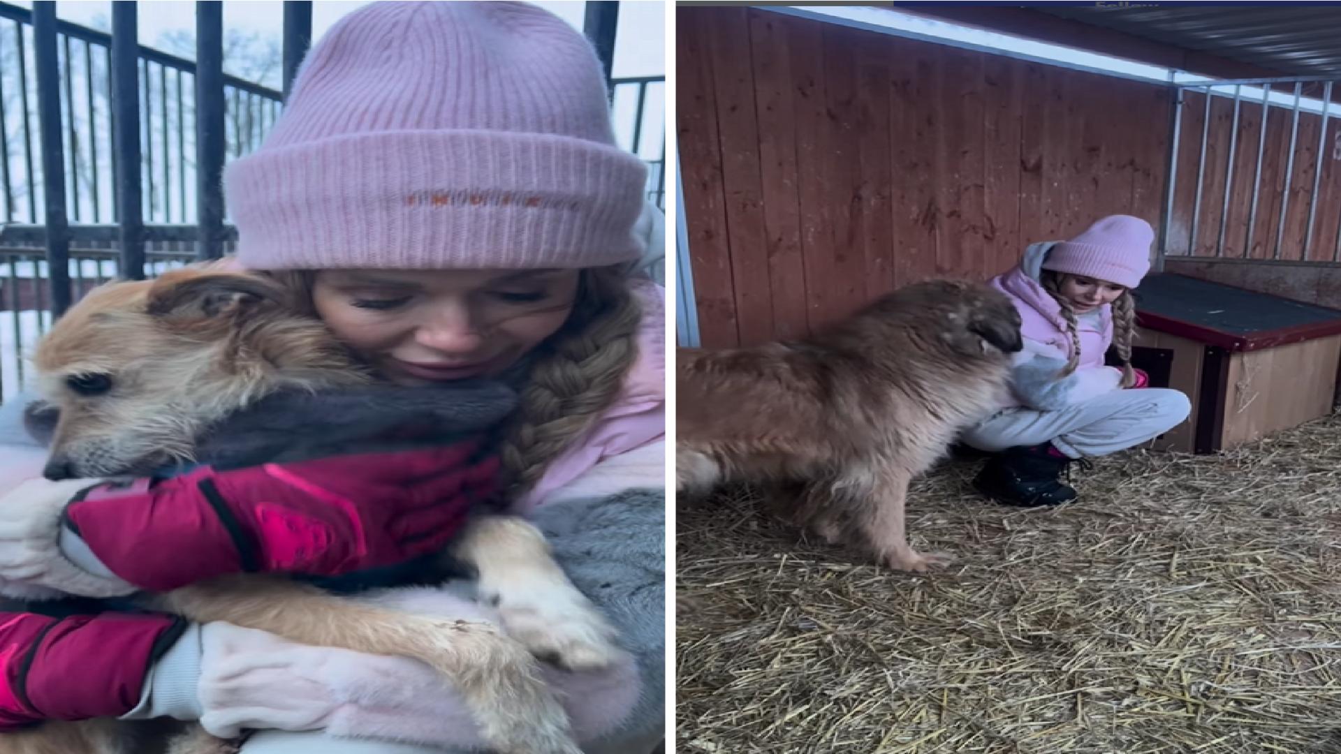Doda z budami do schroniska „Zielone Pole” w Ostrowitem. Zaapelowała do fanów.