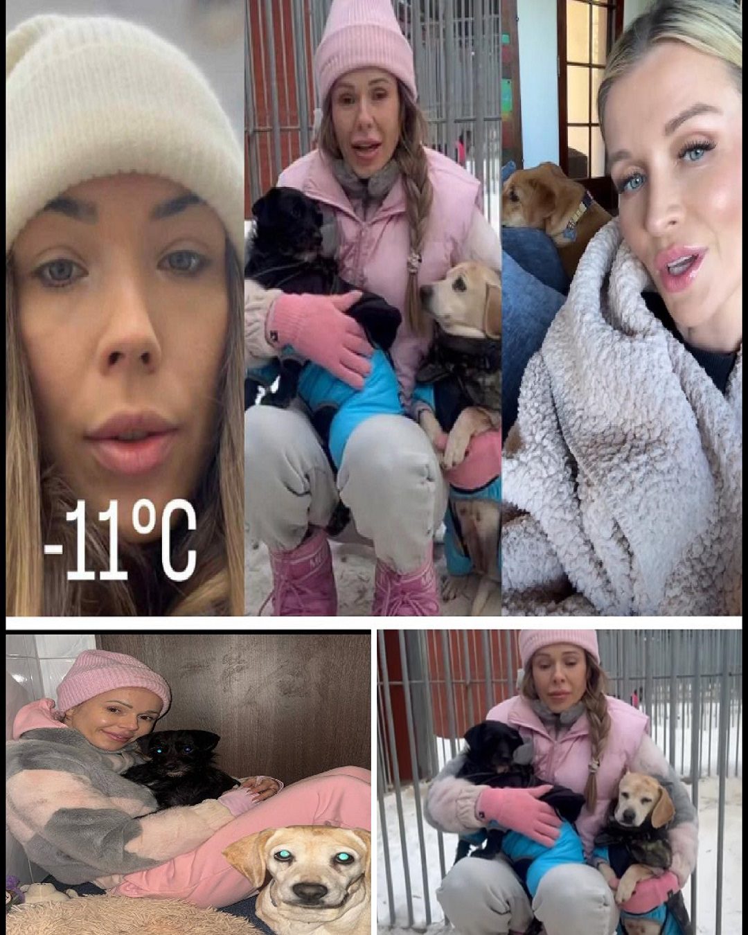 Doda zaapelowała o pomoc zwierzętom. Gwiazdy szybko odpowiedziały.