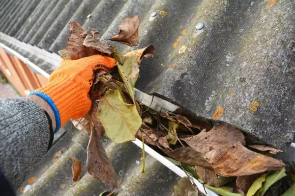 Regal Gutter Cleaning Geelong