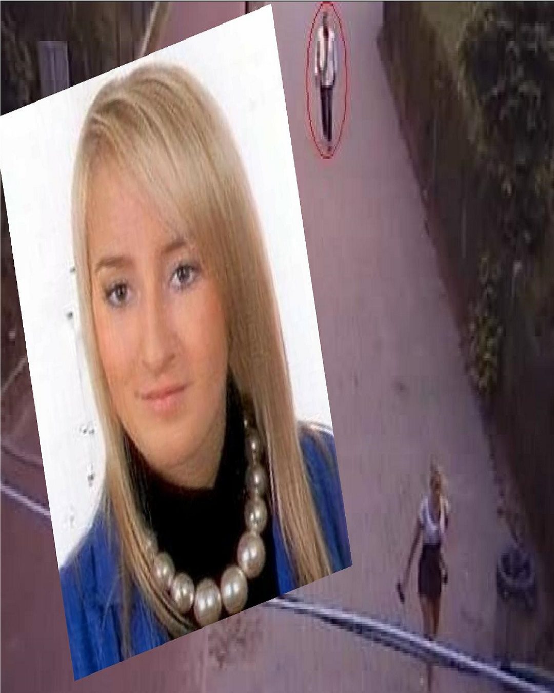 Sprawa Iwony Wieczorek: nowe dowody i intensywne działania śledczych