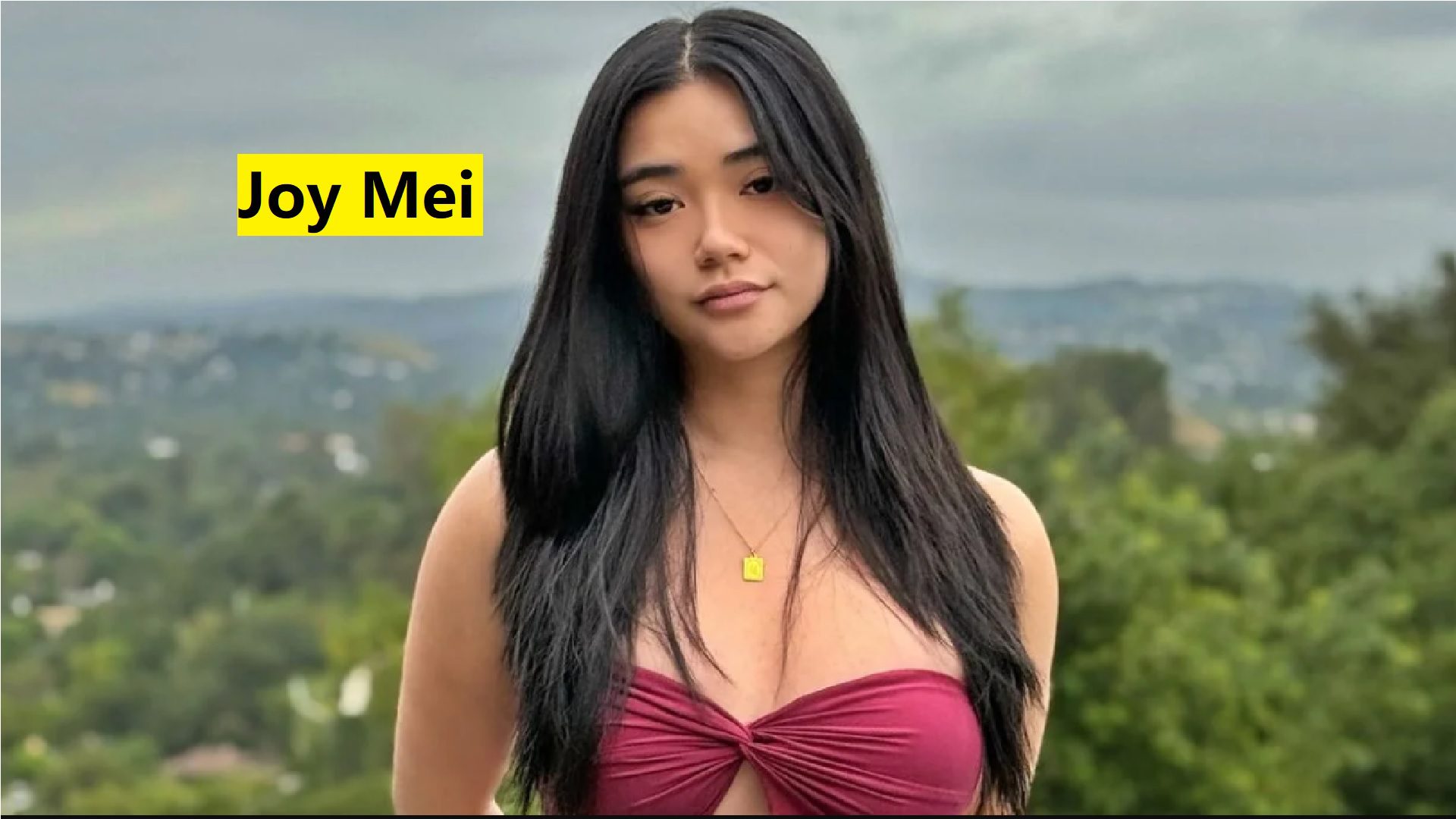 Joy Mei Biography