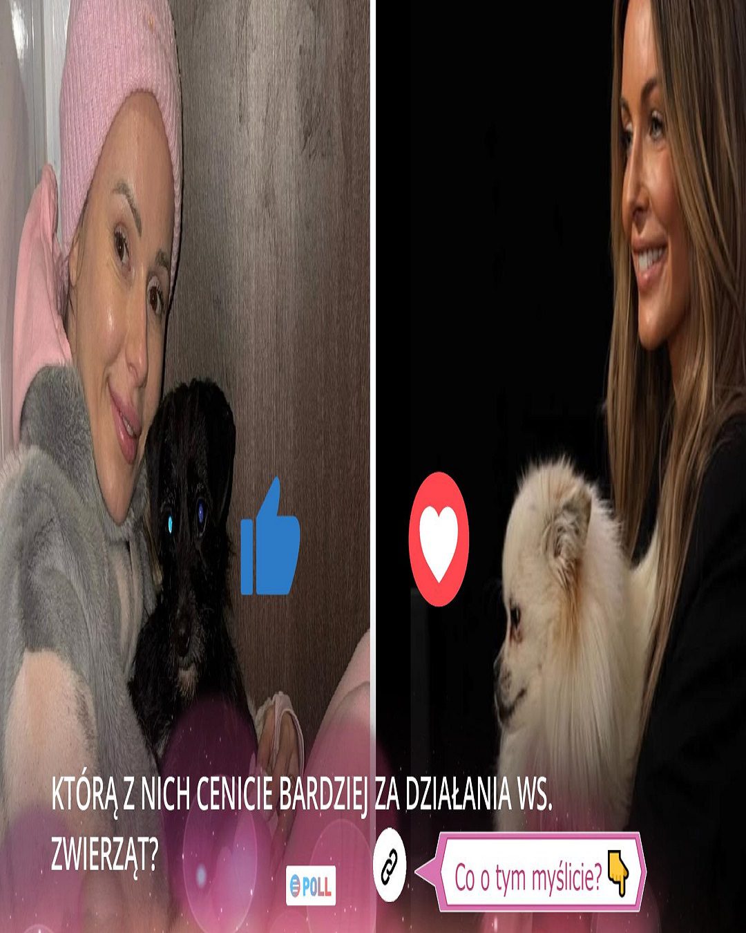 Doda vs Małgorzata Rozenek – Porównanie kariery, działalności prozwierzęcej, życia prywatnego, wieku i majątku