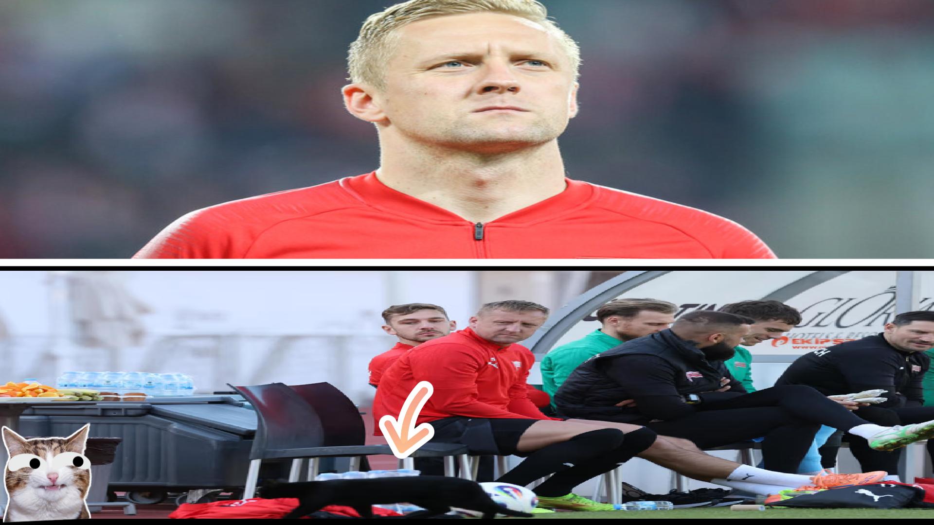 Kamil Glik zdębiał na intruz czarny kotek na meczu Cracovii”😰