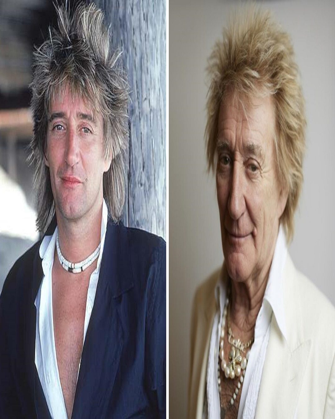 Rod Stewart Net Worth