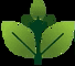 Gramiti – Trusted Agro Products Supplier in India