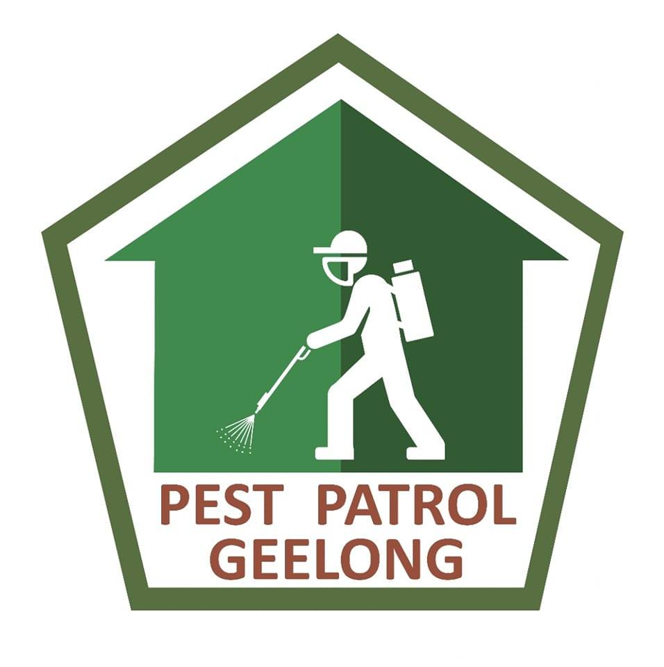 Emergency Pest Control in Geelong