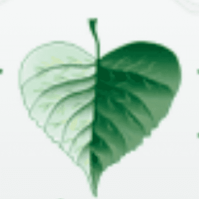 Aspen Healthcare