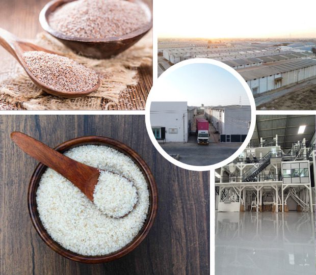 Psyllium Husk Supplier In India