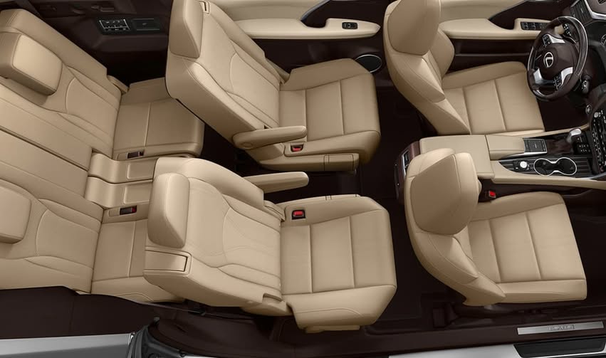 Executive Vehicle Transfers