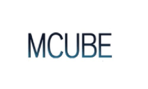 Ivr Service Provider | Mcube.com