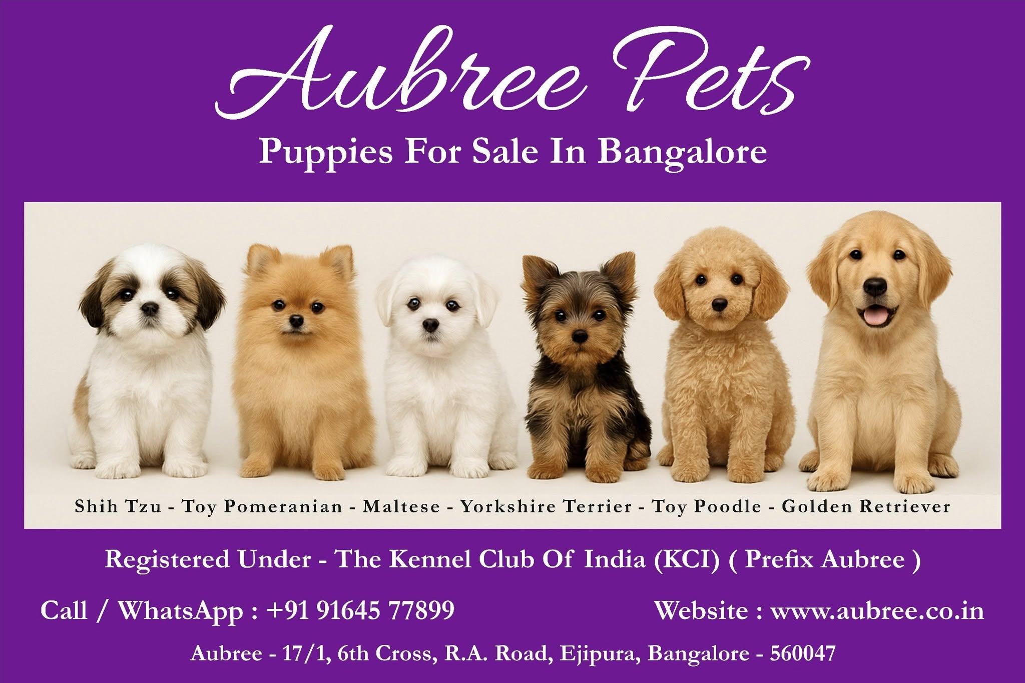 AubreePets