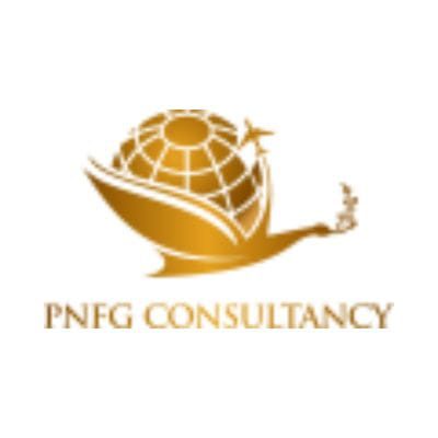 PNFG CONSULTANCY