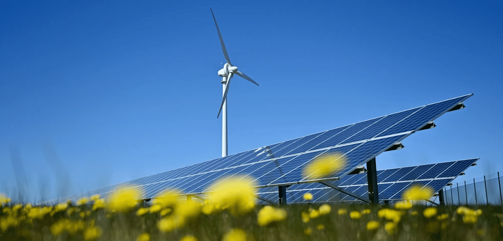 Best Solar Bos Products