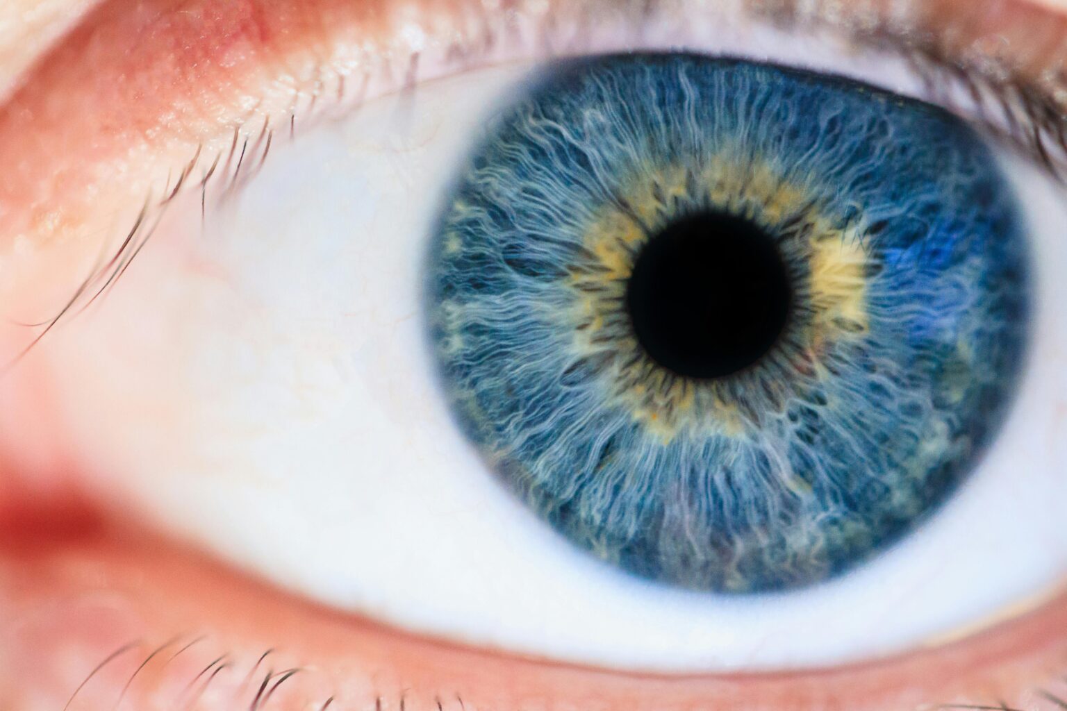The Eye Dr Clinic
