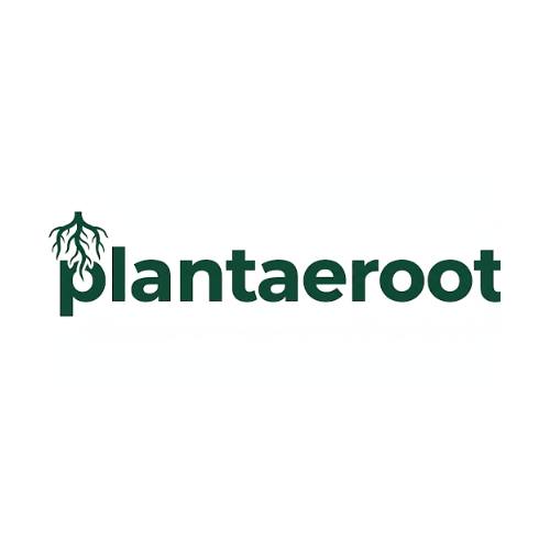 Plantaeroot – Online Plant Nursery & Garden Store