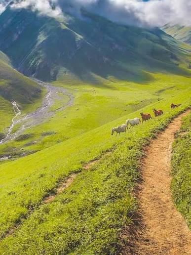 Kashmir Trek Adventures: Explore Stunning Lakes and Mountain Trails